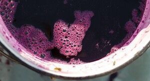 Article précédent
