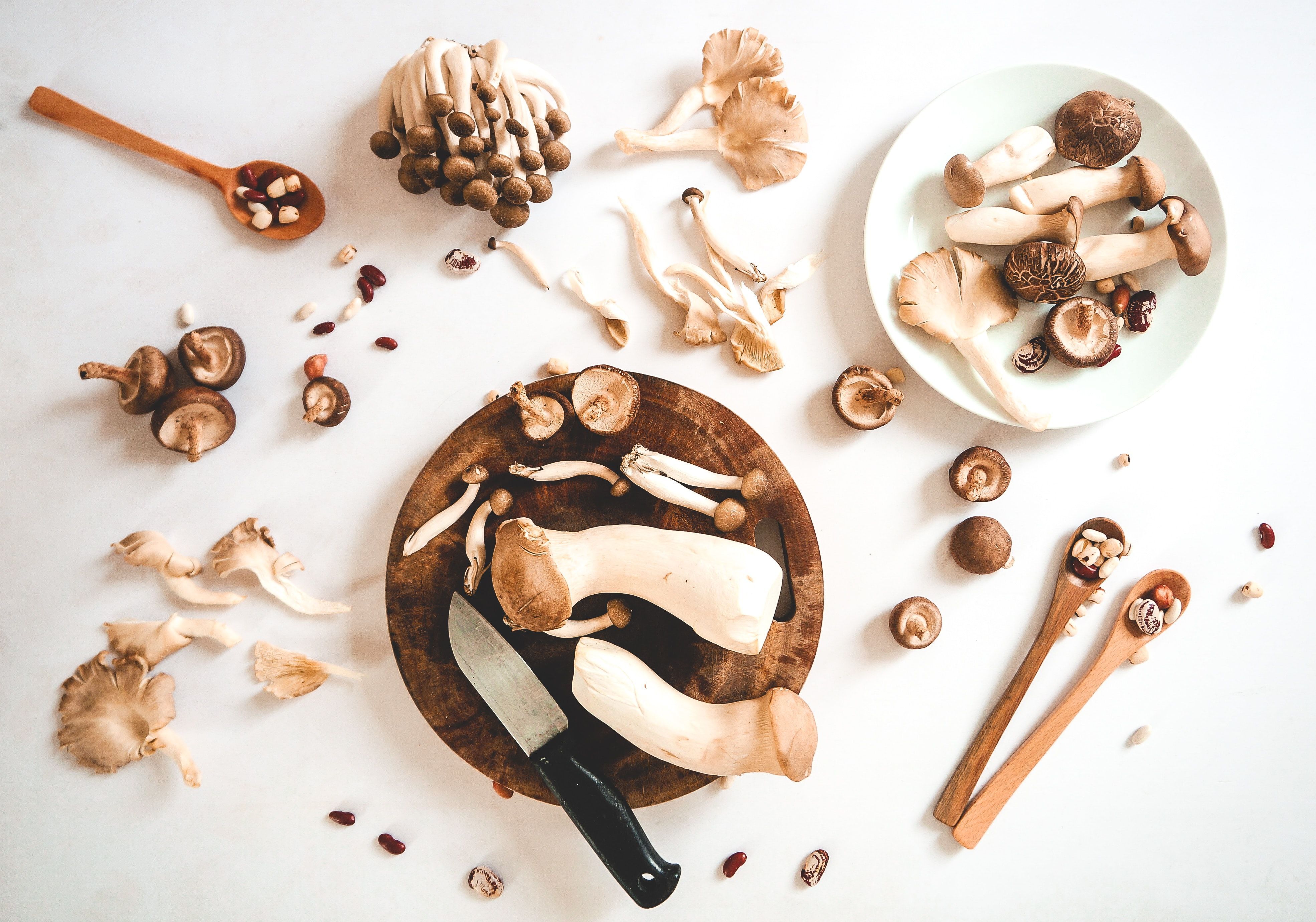 vin et champignons