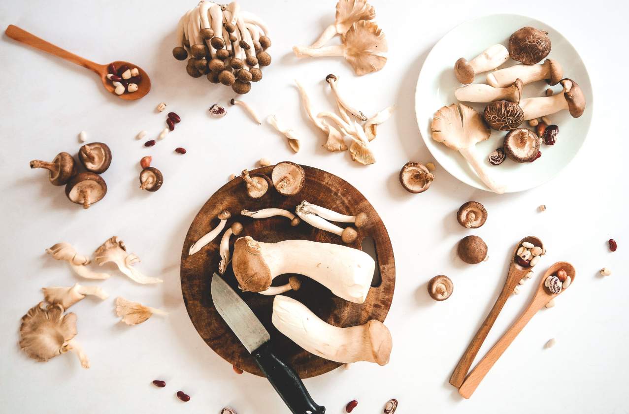 vin et champignon